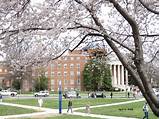 University Of Maryland University Pictures