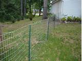 Temporary Fencing For Dogs Photos