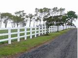 Photos of Stud Fencing For Horses