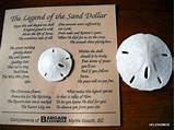 Photos of Sand Dollar Story Of Jesus