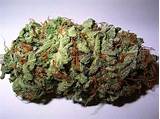 Pictures of High Grade Marijuanas Seeds