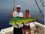 Fish Of The Florida Keys