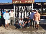 Tuna Fishing Venice Louisiana Images