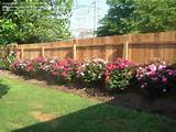 Backyard Landscaping With Knockout Roses Pictures