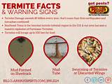Photos of Termite Warning Signs