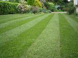 Photos of Top Turf Lawn Care