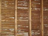 Wood Lath Plaster Repair Pictures