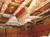 Termite Damage Ceiling Pictures