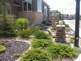 Xeriscape Front Yard Pictures Images