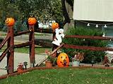 Images of Yard Ideas For Halloween