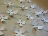 Images of Magnetic Wall Flowers