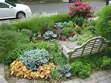 Pictures of Edible Front Yard Design