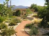 Xeriscape Landscaping Ideas Images