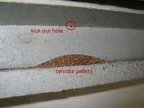 First Signs Of Termite Damage Images