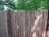 Grape Stake Fencing For Sale Photos
