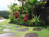 Landscape Plants Hawaii Images