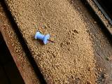 Termite Evidence Sawdust Photos
