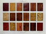 Types Of Wood With Pictures Pictures
