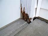 Termite Damage Garage Door Frame Photos