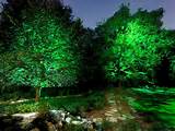 Landscape Lighting In Trees Photos
