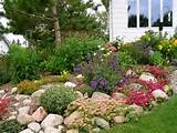 Rock Landscaping Mn Pictures