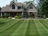 Pictures of Lawn Care Vs Landscaping