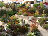 Images of Drought Tolerant Backyard Landscaping Ideas
