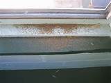 Termite Damage On Window Sill Photos