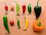 Types Of Chili Peppers And Their Heat Index