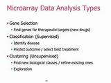 Types Of Data Analysis Pictures