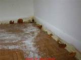 Images of Wet Carpet Along Baseboard