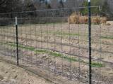 Pictures of Wood Fencing For Cattle