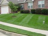 How To Care Lawn Photos