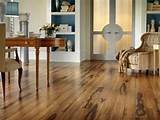 Wood Floors Versus Carpet Pictures