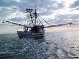 Trawlers For Sale In Florida
