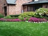 Images of Yard Landscaping Video