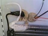 Photos of Sub Zero Repair Vacuum Condenser