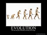 Theory Evolution Wrong Pictures