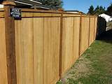 Images of Fence Wood