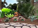 Images of Landscaping Design For Shady Areas