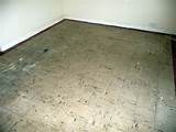 Floor Tile Removal Photos