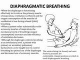 Photos of Breathing Exercises Diaphragm