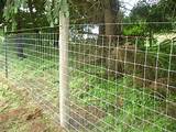 Wood Fence With Wire Mesh Photos