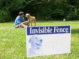 Images of Gps Invisible Fence For Dogs