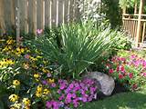Low Maintenance Front Yard Landscaping Ideas Images