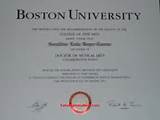 Boston University Online Doctorate