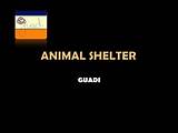Animal Shelter Management Software Images