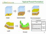 Formation Of Fossil Images
