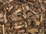 Photos of Using Wood Chips As Mulch
