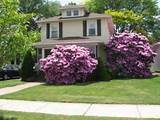 Front Yard Landscaping Ideas Pictures
